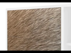 Aparador - 125x98x48 cm - BS2 - Peanut Hair, Blanco
