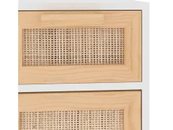 Aparador buffet cómoda mueble mueble organizador cocina salón salón 60 x 30 x 75 cm madera maciza de pino y ratán blanco natural 02_0030338