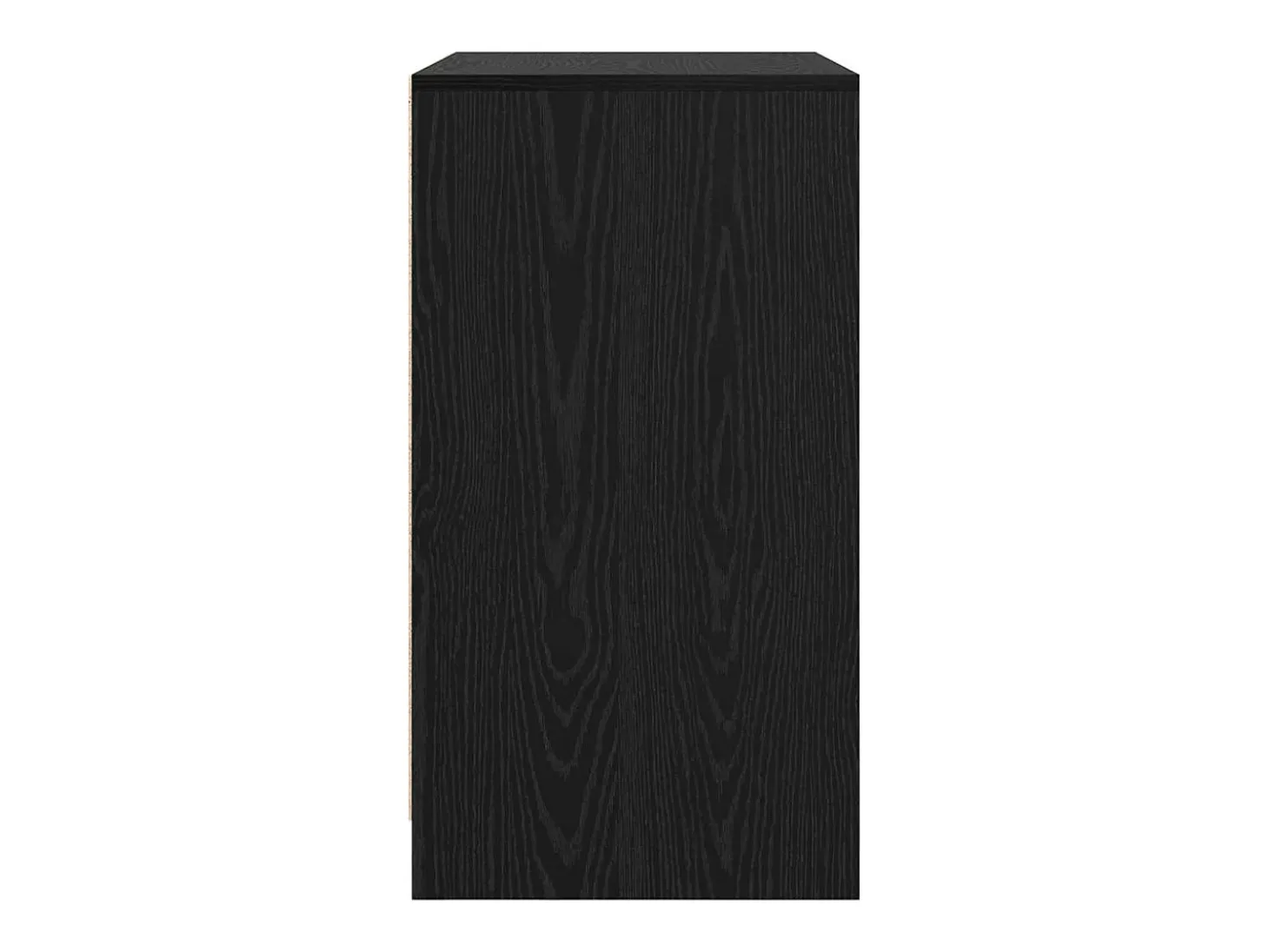 Aparador con puerta Roble negro 70 x 41 x 75 cm Madera de ingeniería
