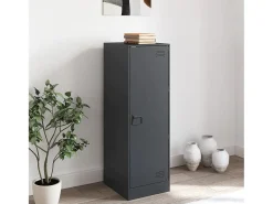 Aparador de acero gris antracita 34,5x39x107 cm ES779205