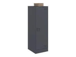 Aparador de acero gris antracita 34,5x39x107 cm