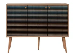 Aparador MEGA-222 sonoma color roble 120x36x90 cm