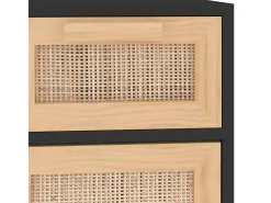 Aparador Negro 60x30x75 cm Madera maciza de pino y ratán natural