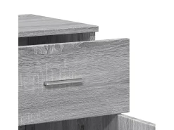 Aparadores 2 piezas gris sonoma 79x38x80 cm madera de ingeniería
