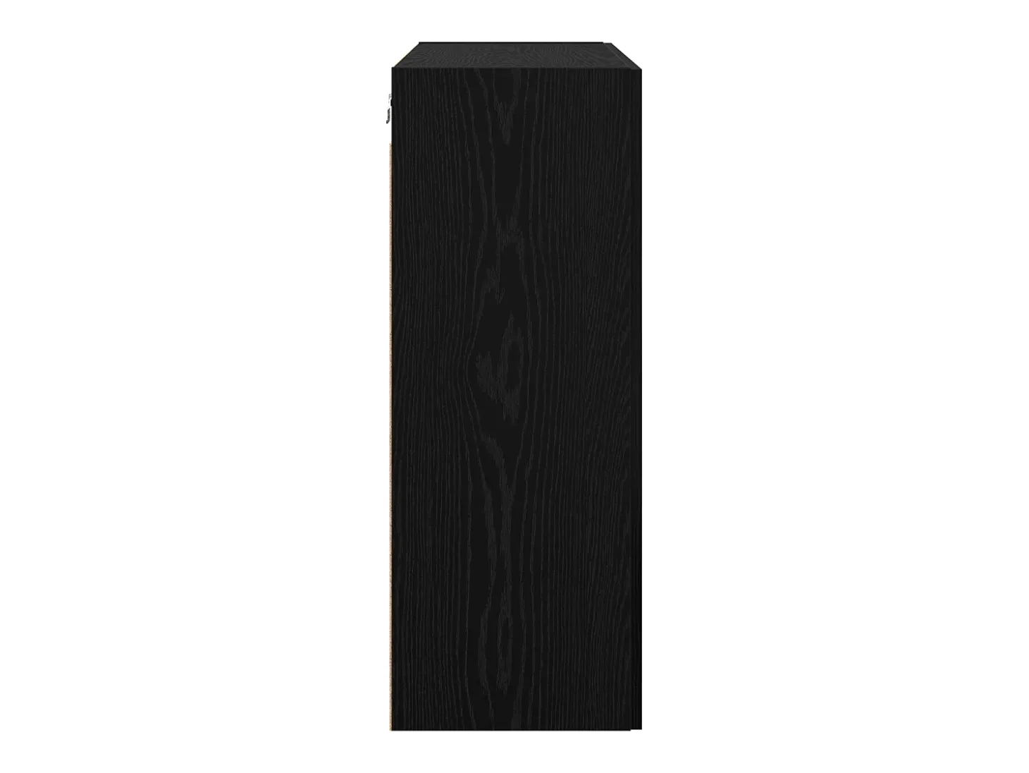 Armario de pared colgante con estante Montaje en pared con almacenaje con puerta Negro 69,5 x 34 x 90 cm