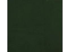 Dalira Sillas de comedor 2 unidades terciopelo verde oscuro
