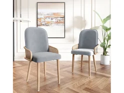 Juego de 2 sillas de comedor de terciopelo - 45 x 43 x 90 cm - diseño de ratán - con 4 patas metálicas - gris