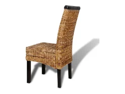 Juego de 2 sillas de comedor de madera maciza de mango y abacá