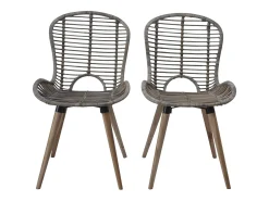 Juego de 2 Sillas de comedor ratán natural marrón ES669307