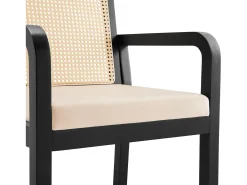 Juego de 4 sillas de comedor/vestidor de terciopelo - 56 x 57 x 83 cm - con respaldo de ratán - madera - negro