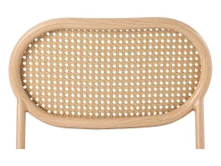 Juego de 2 sillas de ratán con asiento acolchado de PU, color marrón