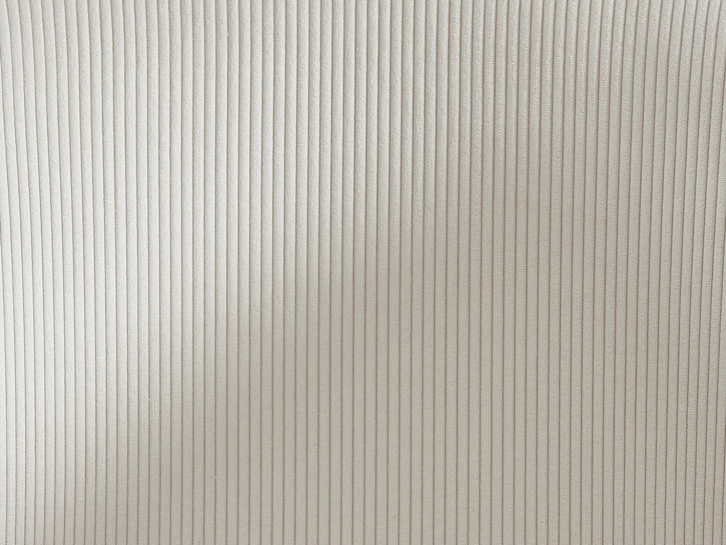 Juego de 2 sillas de terciopelo de canalé y metal - Crema - MORONI de Pascal MORABITO