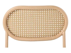 Juego de 2 sillas en PU y ratán - Patas de metal - Ergonómicas - Carga máxima 150 kg - 46×48×80 cm - Marrón