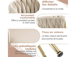 Juego de 2 sillas/sillones de comedor de terciopelo, estructura de metal dorado, beige