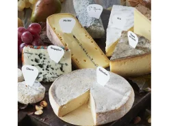Kit de accesorios para queso