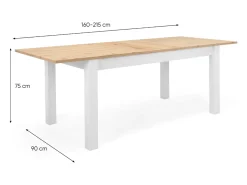 Mesa de comedor de madera extensible 10 plazas SKADAR