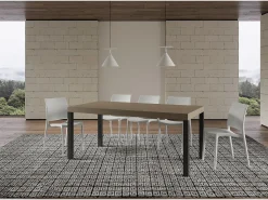 Mesa extensible 90x200/460 cm Everyday Premium gris paloma patas antracita