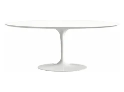 Mesa tulipán ovalada negro mate con base negro mate 225 cm-Color de la bandeja Negro mate-Anchura 240 cm-Color de los pies Negro brillante