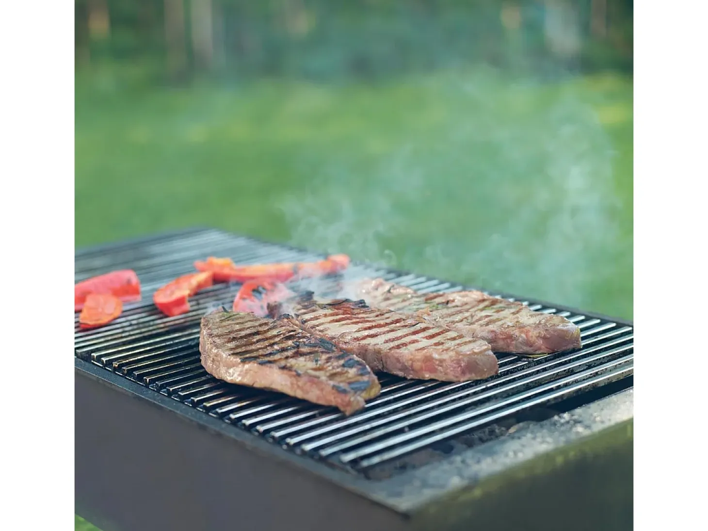 Parrilla barbacoa con doble asa tamaño 60x40cm en acero inoxidable ECD Germany
