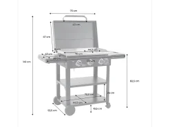 Plancha de gas 3 quemadores acero inoxidable 12kw con carrito y