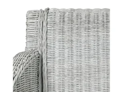 Silla de comedor con cojín ratán natural gris ES485584
