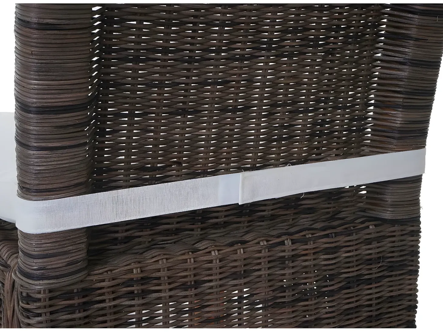 Silla de comedor Sinio (set de 2), con cojín de asiento