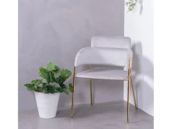 Silla de diseño tapizada en terciopelo y patas doradas - Cruiser - Gris