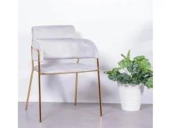 Silla de diseño tapizada en terciopelo y patas doradas - Cruiser - Gris