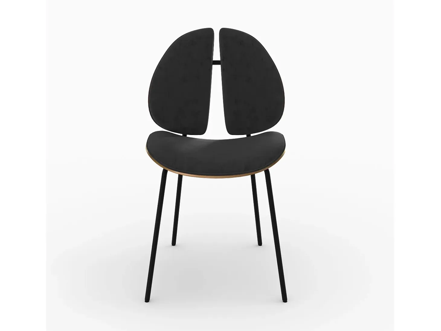 Silla en terciopelo negro y madera de nogal - Coccinelle